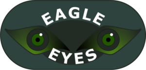 Logo - Eagle Eyes