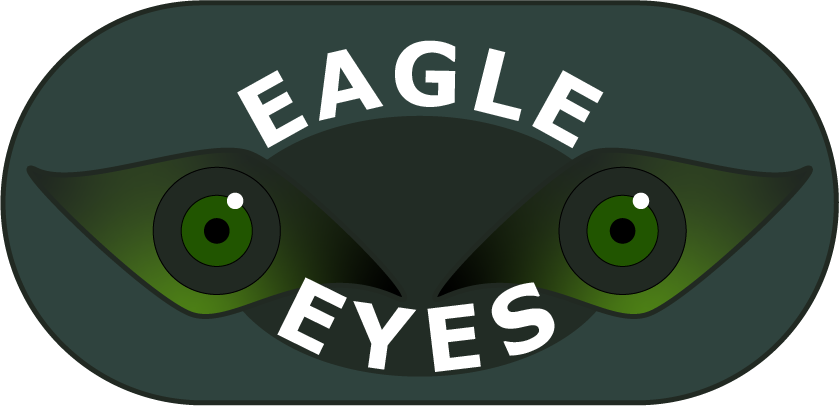 Logo - Eagle Eyes